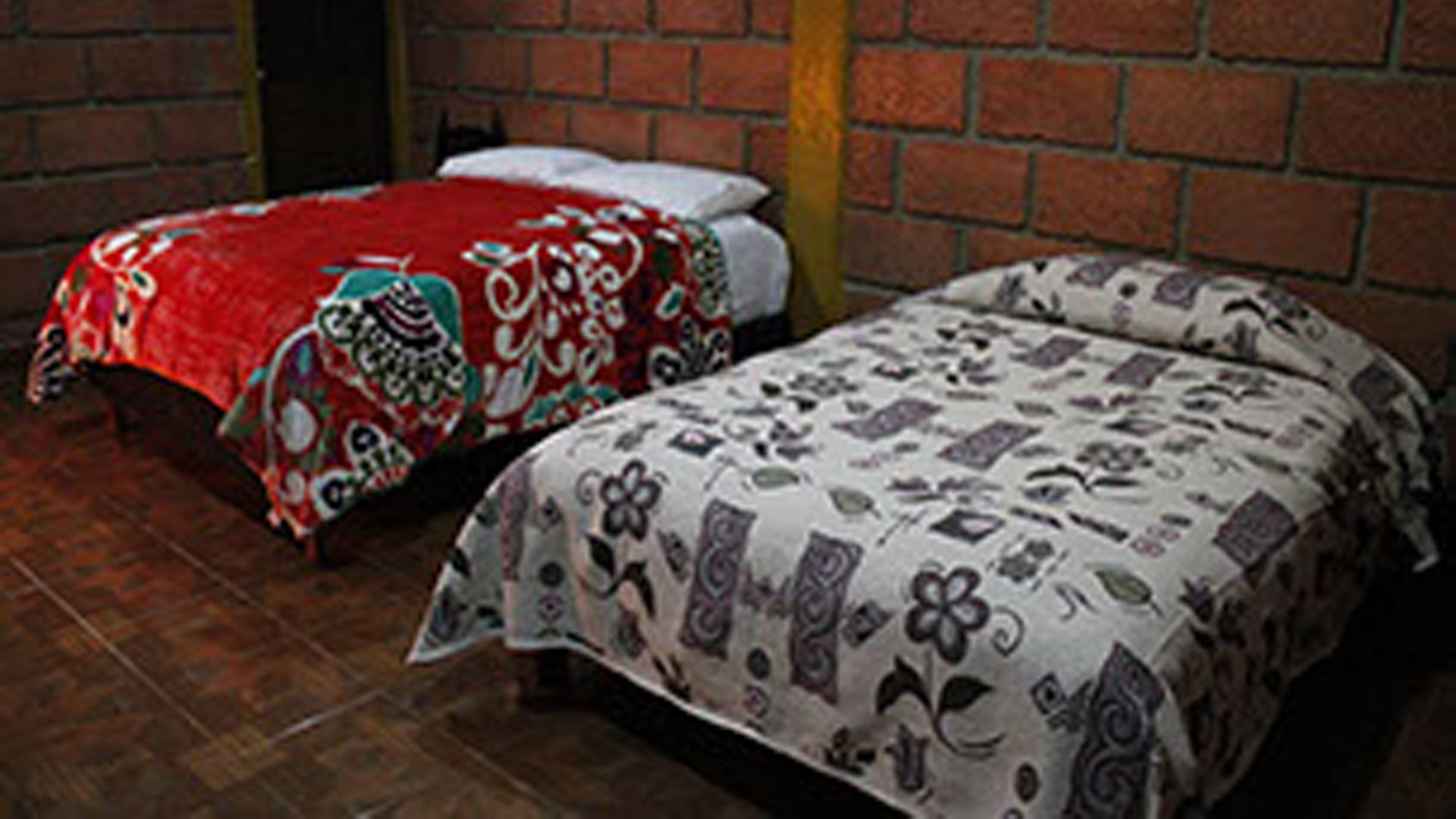 Cabañás San Jose el Ocotal - Cabaña en Huasca